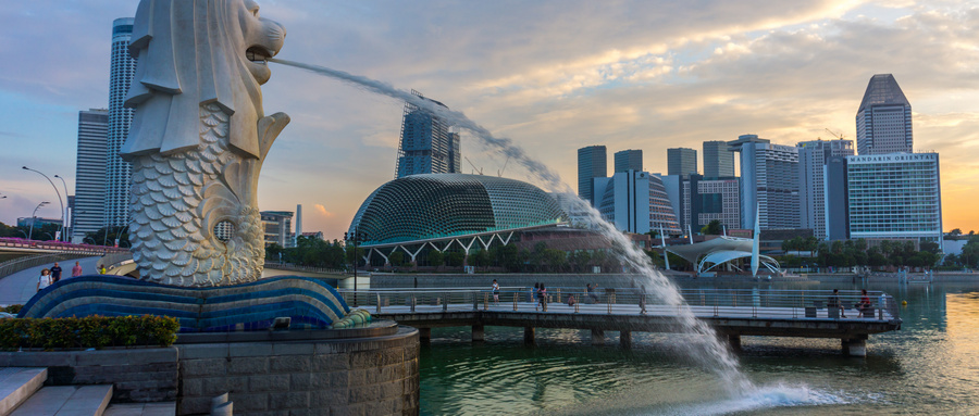 新加坡税种宏源国际